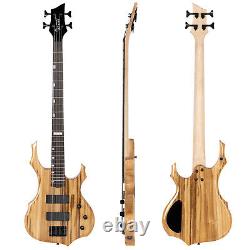 4 String Burning Fire enclosed H-H Pickup Electric Bass Guitar 20W Amplifier