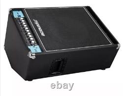 Acoustic Bass amp b300c