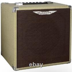 Ashdown AAA Perfect 10 60W Bass Combo Amp