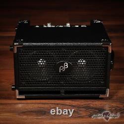 Phil Jones Bass BG-120 Bass Cub Pro 2x5 120W Combo Amp with Carry Bag Black