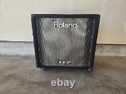 Roland DB-500 D Bass Guitar Combo Amplifier Amp