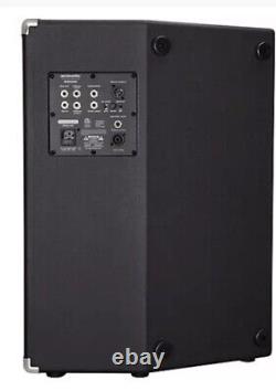 Ampli de basse acoustique b300c